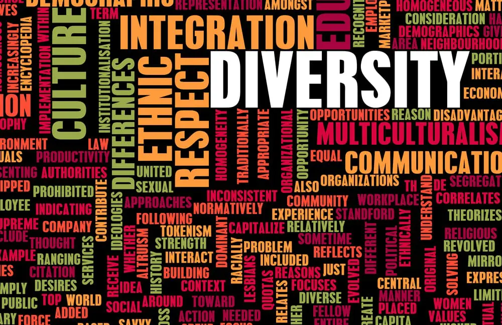 Diversity, integration, culture, ethnic, respect, differences
