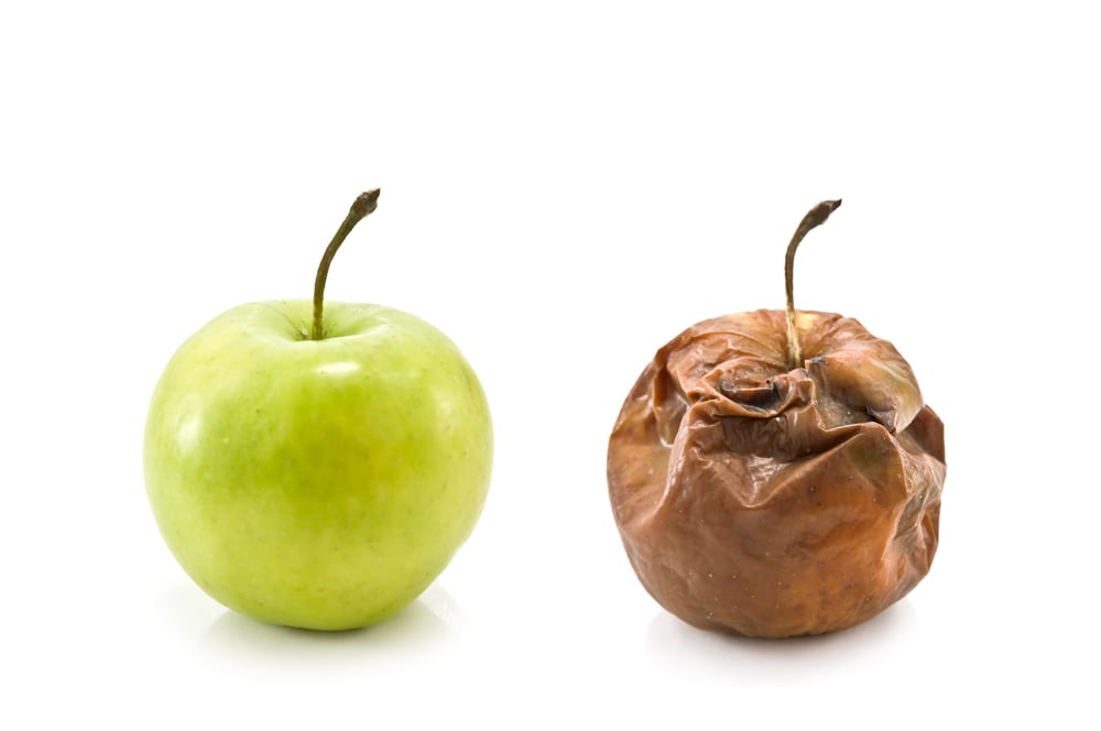 Avoid-bad-apple-hire